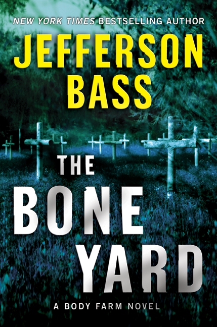 'The Bone Yard'. Image taken from here.